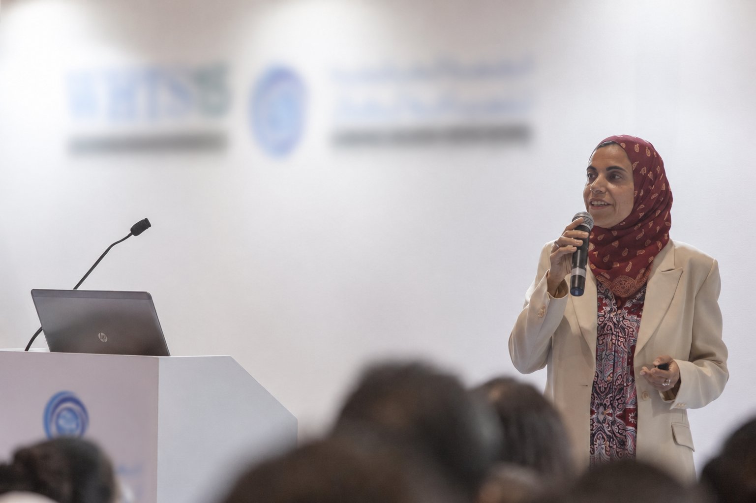Reem El Shafaki speaking at a professional strategy conference